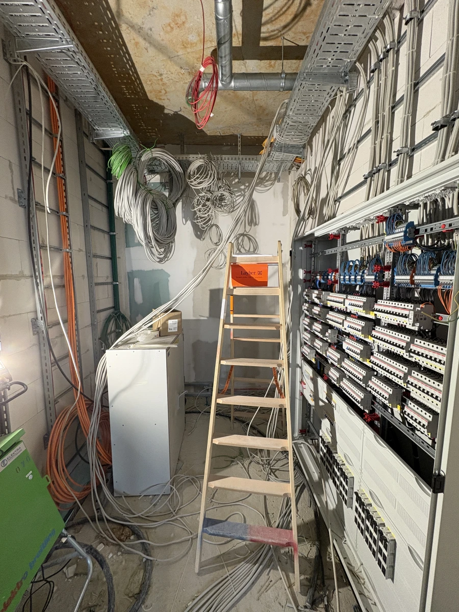 Gallery image 6